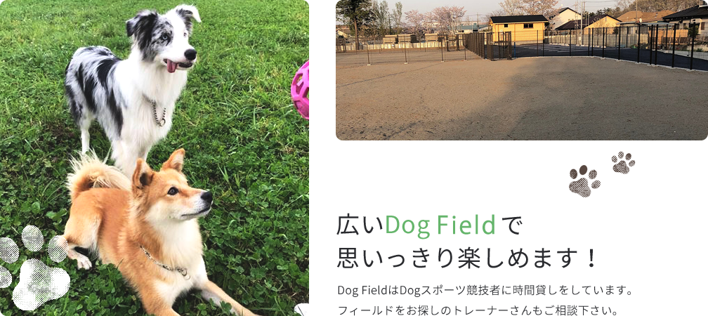 広いDog Runで思いっきり楽しめます！