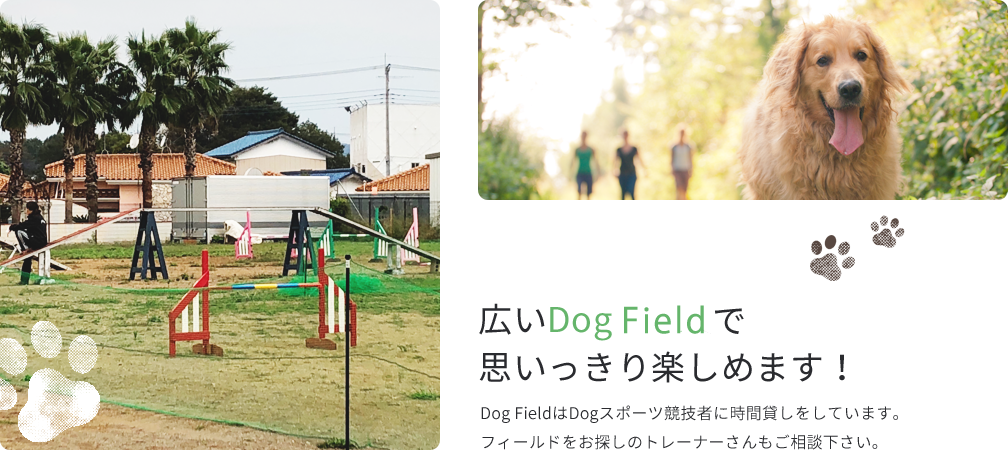 広いDog Runで思いっきり楽しめます！