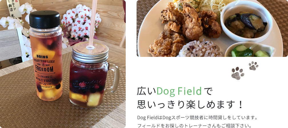 広いDog Runで思いっきり楽しめます！